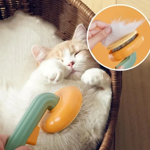 Pet Brush7